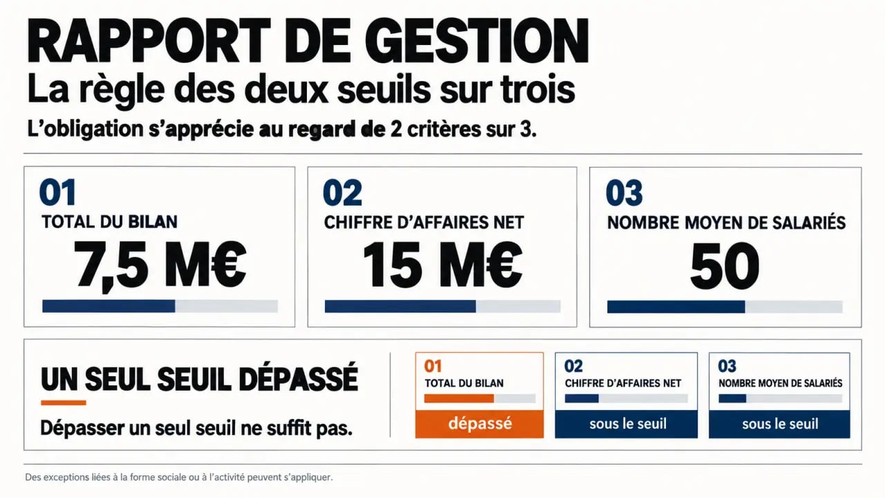 Infographie sur l’obligation de rapport de gestion et la règle des deux seuils sur trois